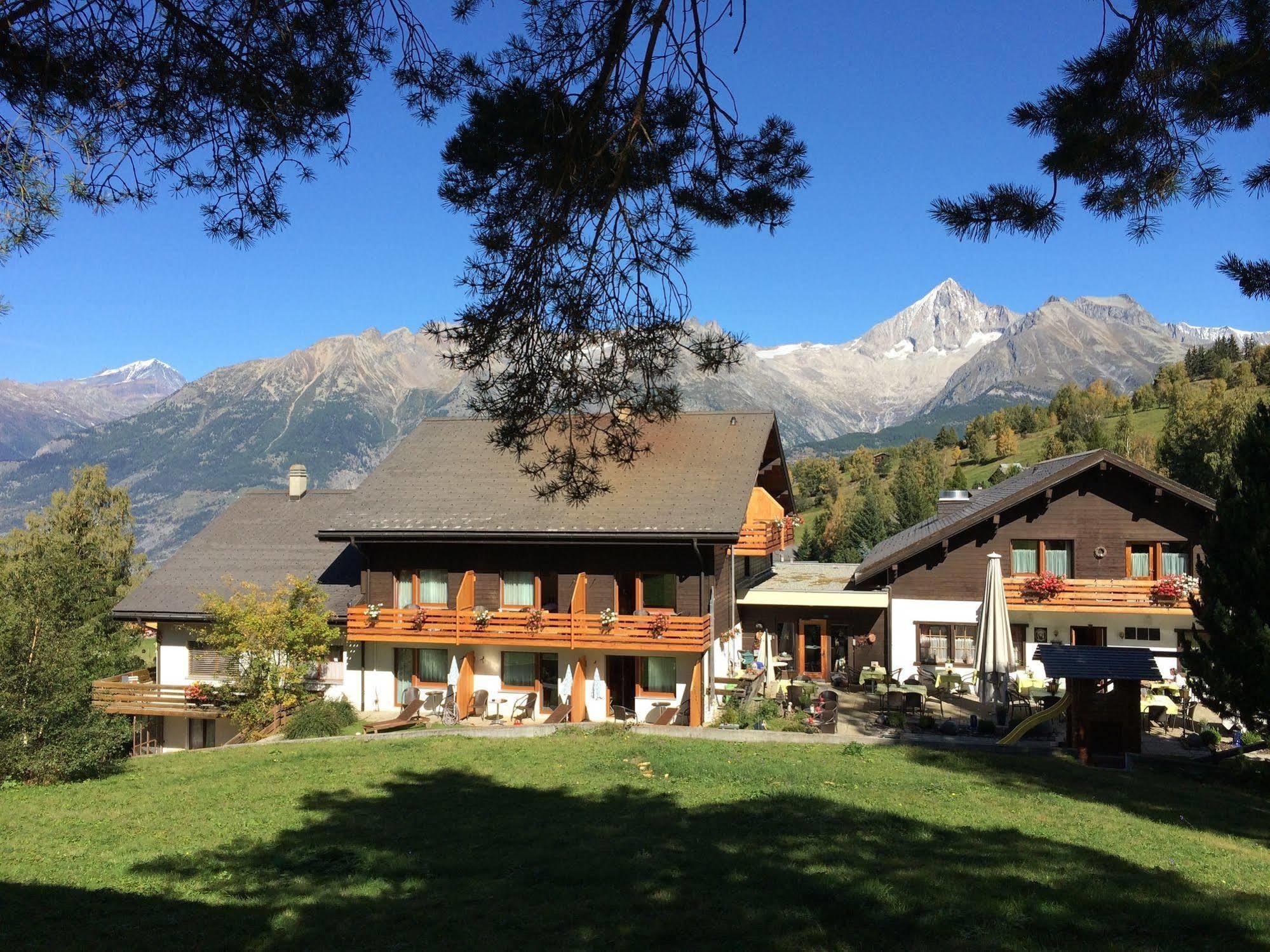 Bürchen Hotel Restaurant Buerchnerhof מראה חיצוני תמונה